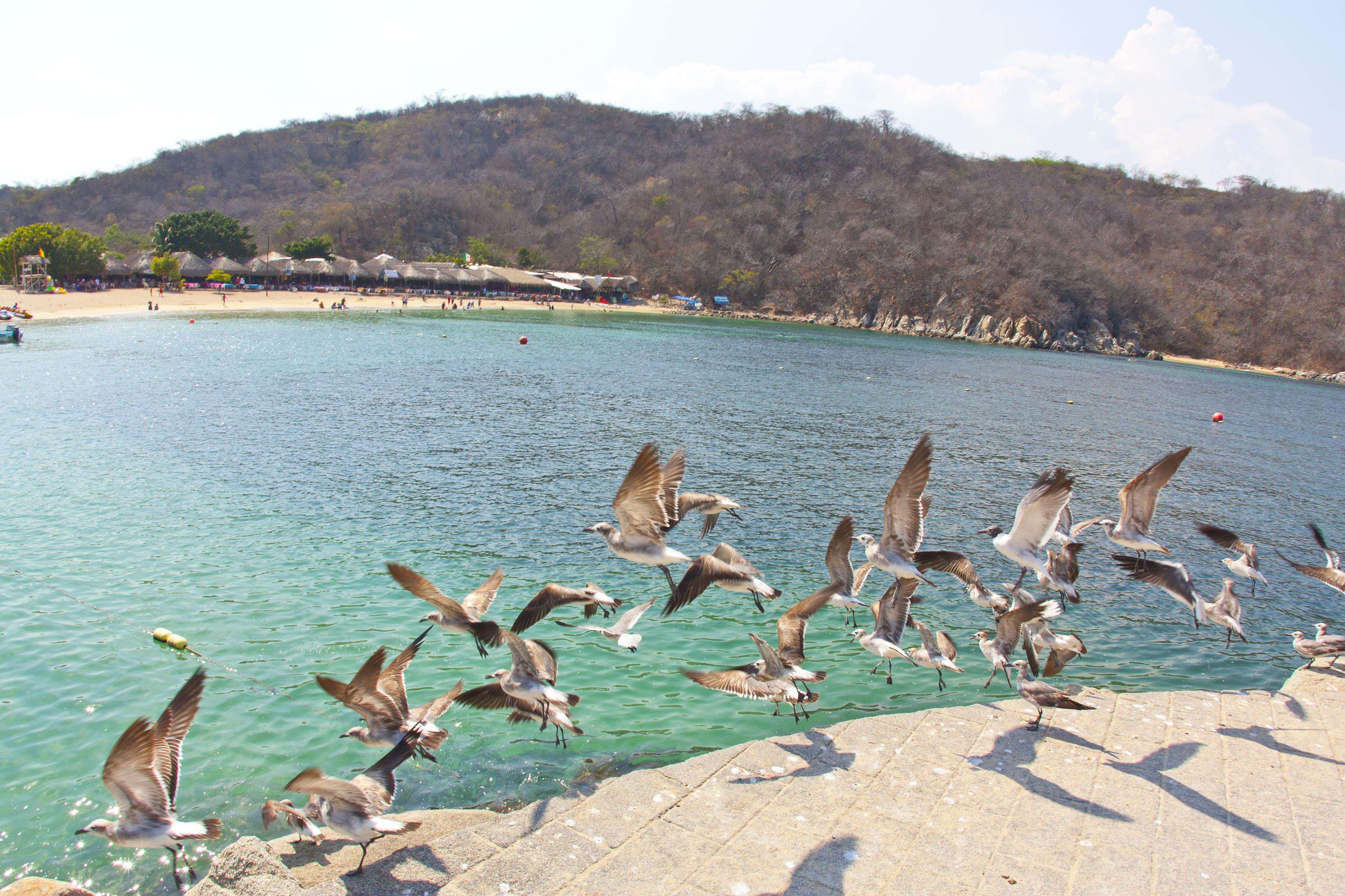 סנטה קרוז הואטולקו Villa Blanca Huatulco מראה חיצוני תמונה